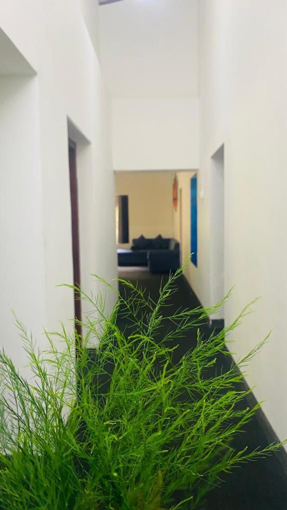Tearamb Holiday Bungalow Otalawa 외부 사진