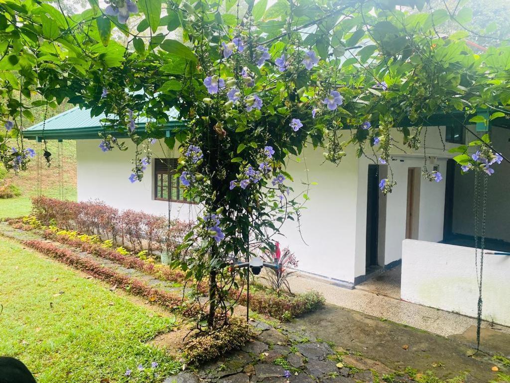 Tearamb Holiday Bungalow Otalawa 외부 사진